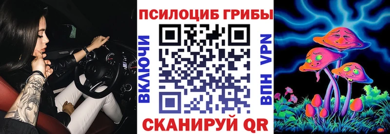 Псилоцибиновые грибы Psilocybe  kraken вход  Отрадный 