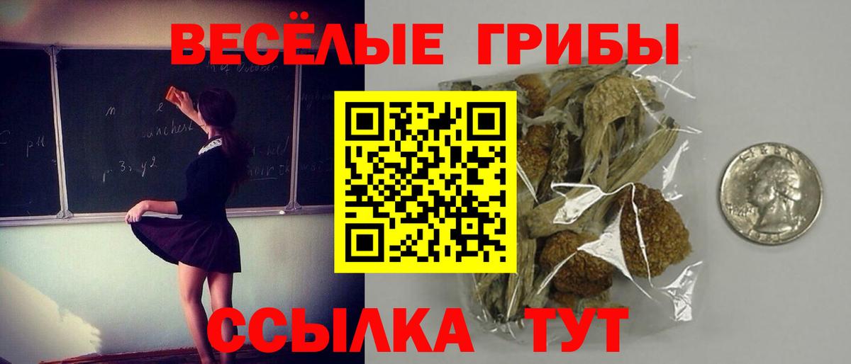 Галлюциногенные грибы Magic Shrooms  Вход с VPN  Галлюциногенные грибы Psilocybine cubensis  Отрадный 