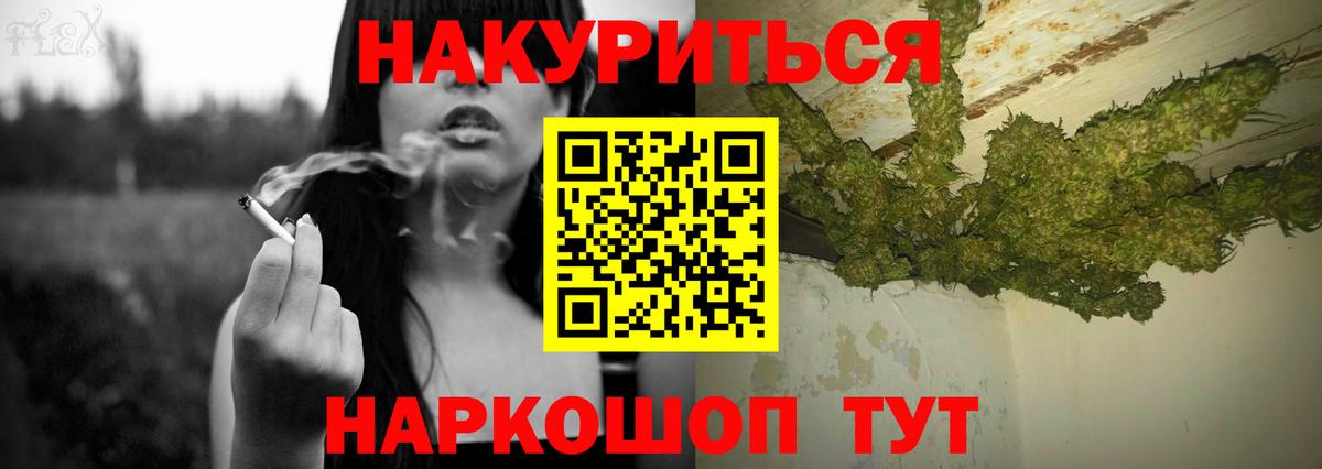 Бошки Шишки планчик Отрадный
